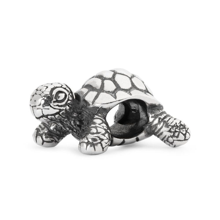 Beads Tartaruga Gioielli Trollbeads | TAGBE-20049