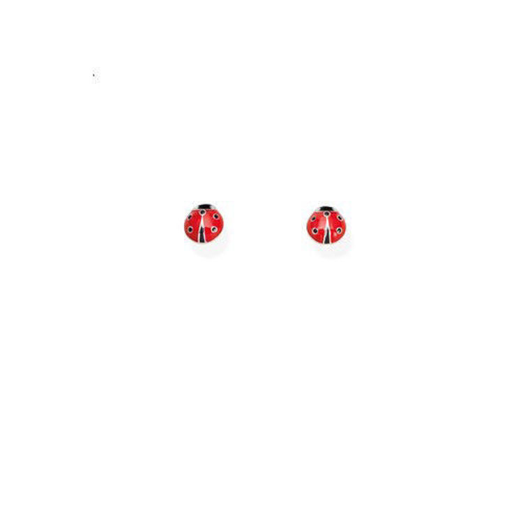 Amen Coccinelle | ELABSR