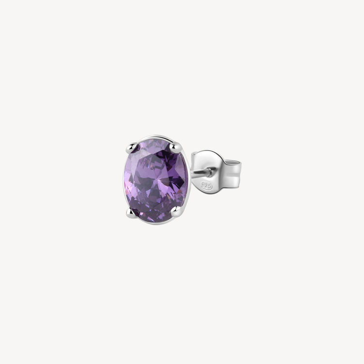 Immagine di Orecchino Amethyst Gioielli Brosway Fancy | FMP08