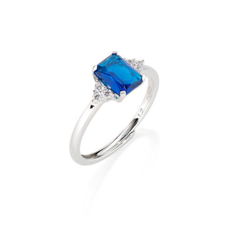 Immagine di Anello regolabile Princess Con Zirconi Blu E Bianchi Amen | RBABBBLZ3