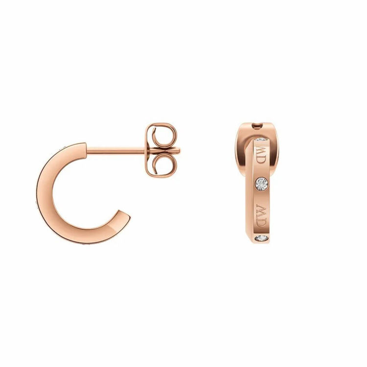 Immagine di Orecchini Classic Lumine Daniel Wellington | DW00400349