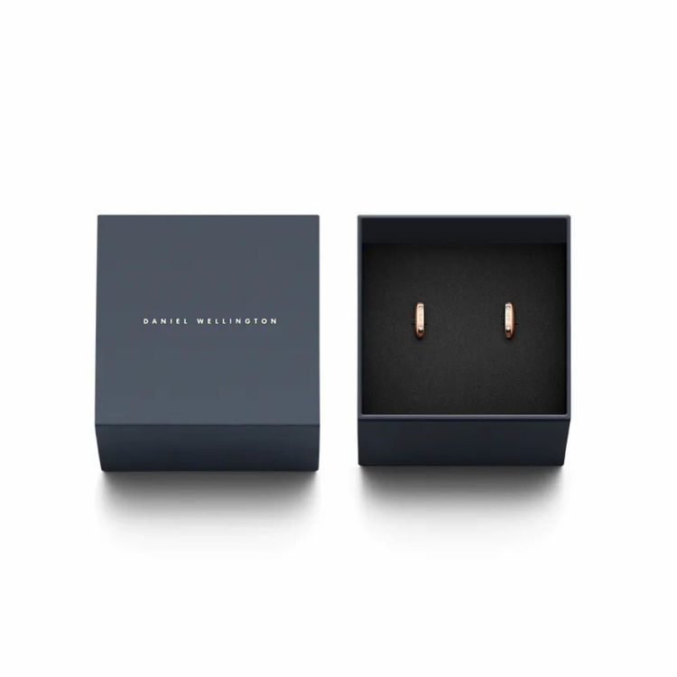 Immagine di Orecchini Classic Lumine Daniel Wellington | DW00400349