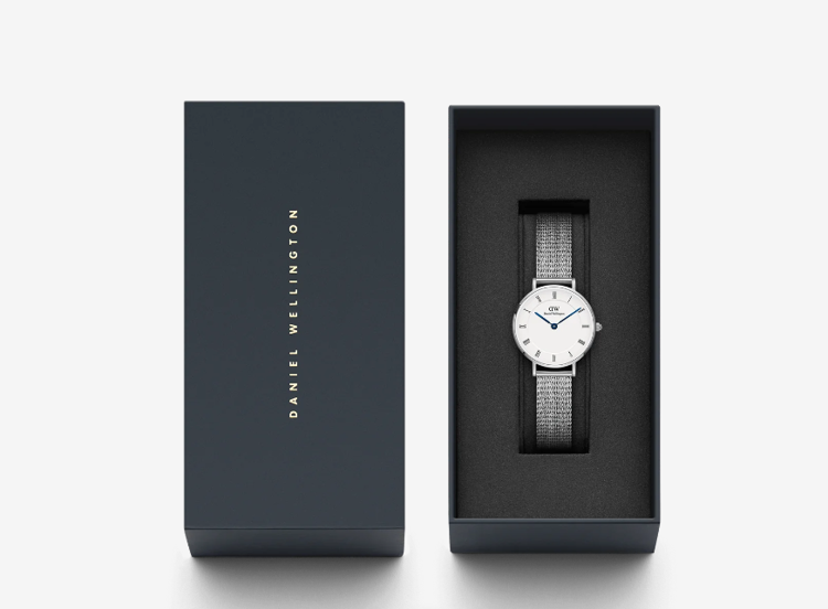 Immagine di Orologio Daniel Wellington Petite Roman Numerals Sterling | DW00100684