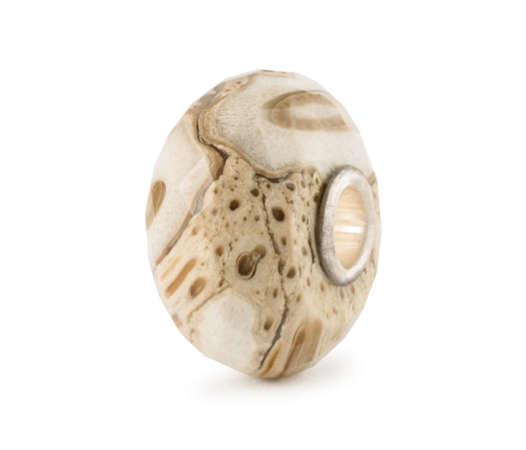 Immagine di Beads In Vetro Legno Fossile Gioielli Trollbeads | TSTBE-20042