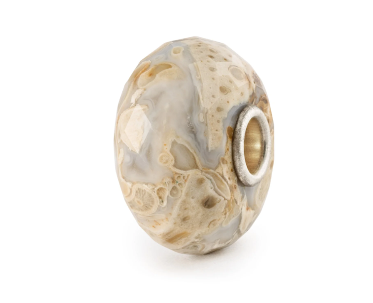 Immagine di Beads In Vetro Legno Fossile Gioielli Trollbeads | TSTBE-20042