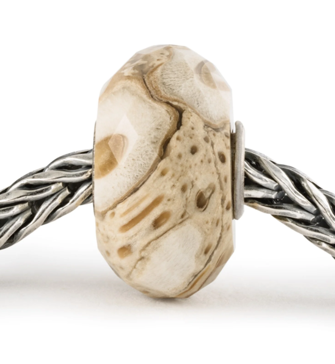 Immagine di Beads In Vetro Legno Fossile Gioielli Trollbeads | TSTBE-20042