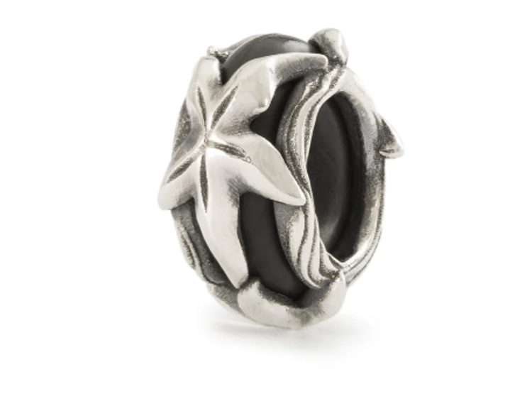 Immagine di Stop Stella Marina Gioielli Trollbeads | TAGBE-10282