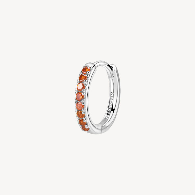 Immagine di Orecchino Singolo Donna A Cerchietto Orange Gioielli Brosway Fancy | FVO16