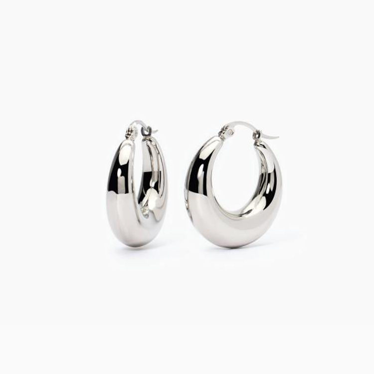 Immagine di Orecchini In Acciaio 2Jewels |  261438