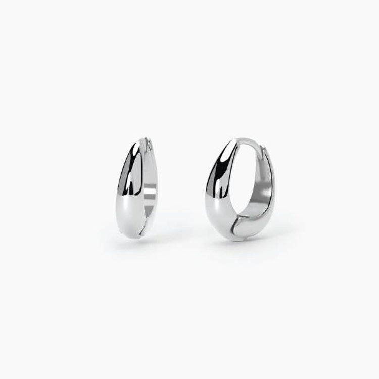 Immagine di Orecchini In Acciaio 2Jewels | 261402