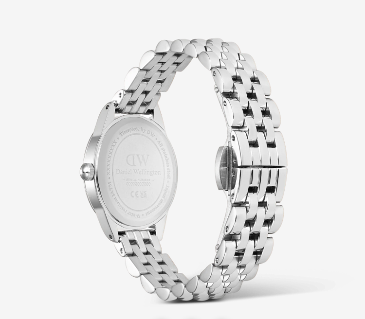 Immagine di Orologio Donna Daniel Wellington Ophelia Mini Arctic Silver | DW00100807