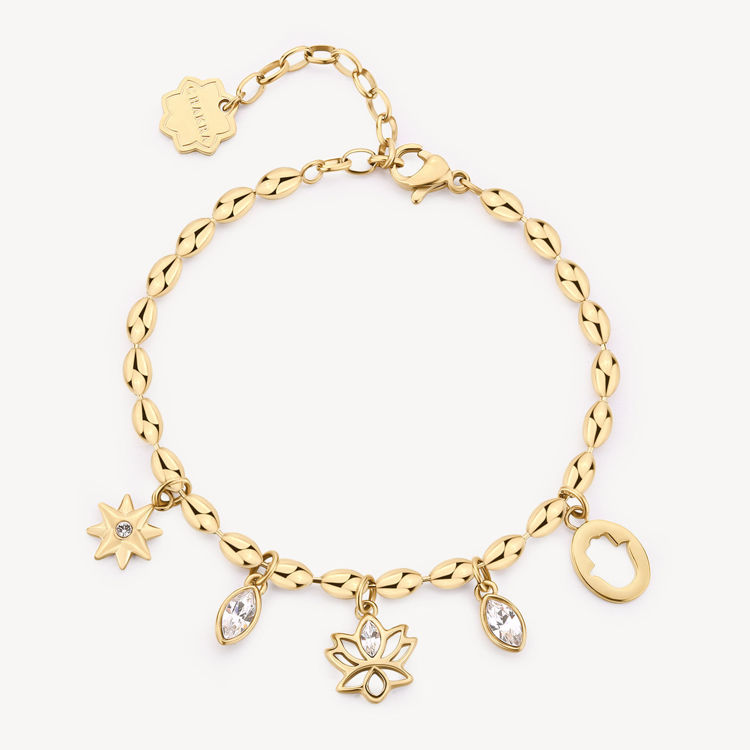 Immagine di Bracciale Chakra Mistici Acciaio Brosway | BHKB252