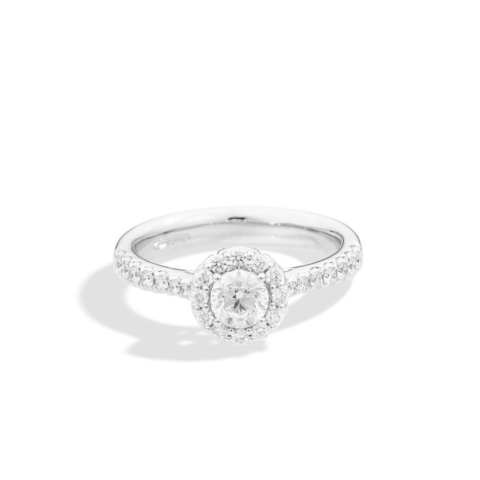 Solitario Halo In Oro Bianco E Diamante Halo Recarlo | R01SC018/040-13