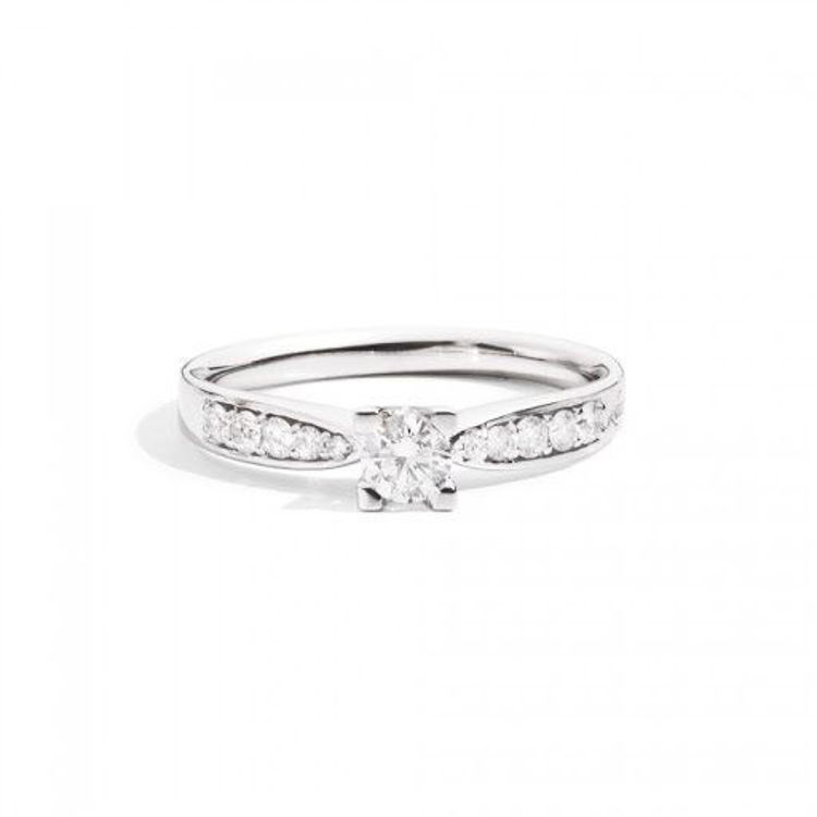Anello Solitario Oro Bianco E Diamanti Gioielli Recarlo Maria Teresa | R30SP265/045VS-14