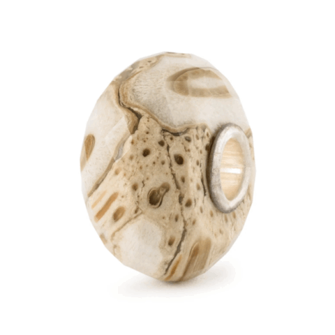 Beads In Vetro Legno Fossile Gioielli Trollbeads | TSTBE-20042