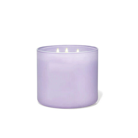 Candela Profumata 3 Stoppini Lilla Cera Di Soia Essenza Lavanda In Vetro Brandani | 51765